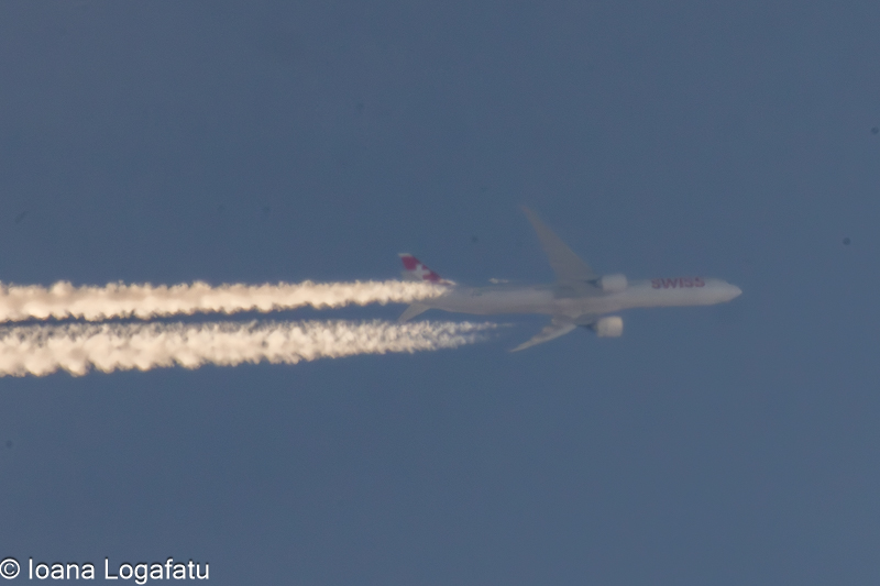 Majestic aircraft gliding through a clear sky